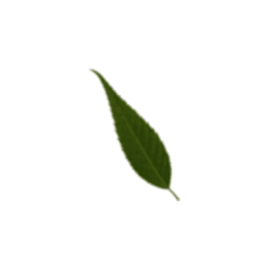 Leaf decoration