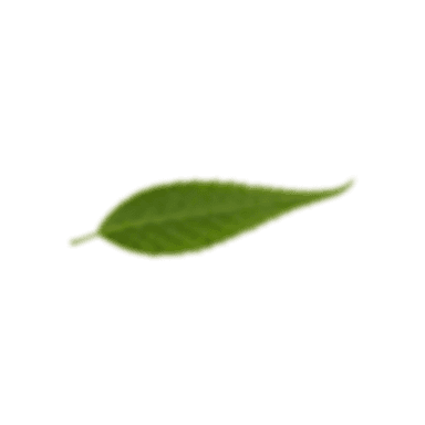 Leaf decoration